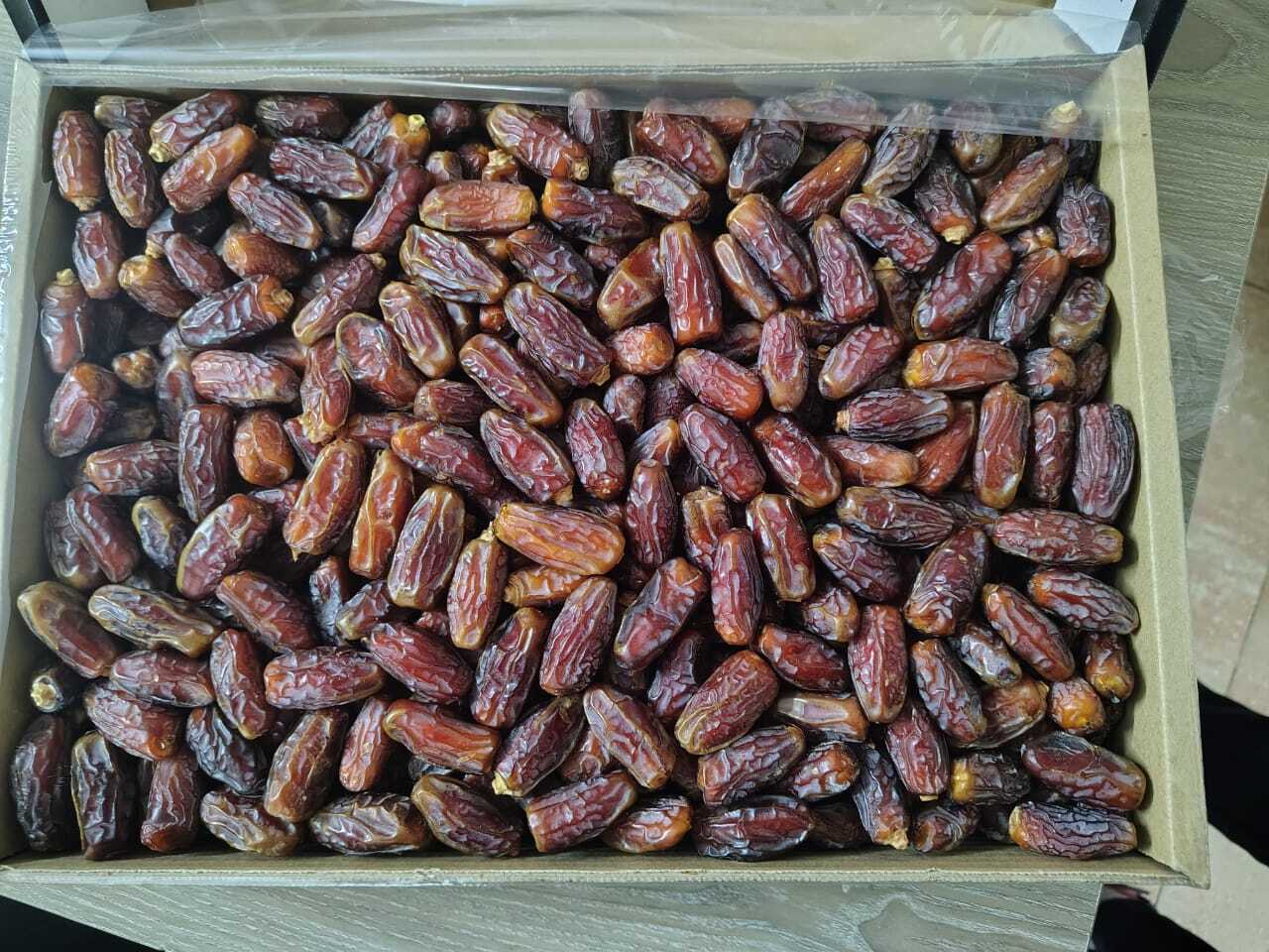 Sellasi maryam dates